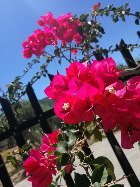 Locanda Monemvasía المظهر الخارجي الصورة